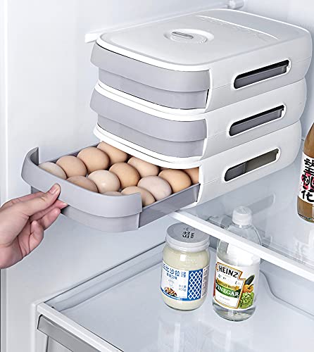 Plastic Egg Storage Box with Lid - Kitchen & Fridge Organizer for Eggs (White)