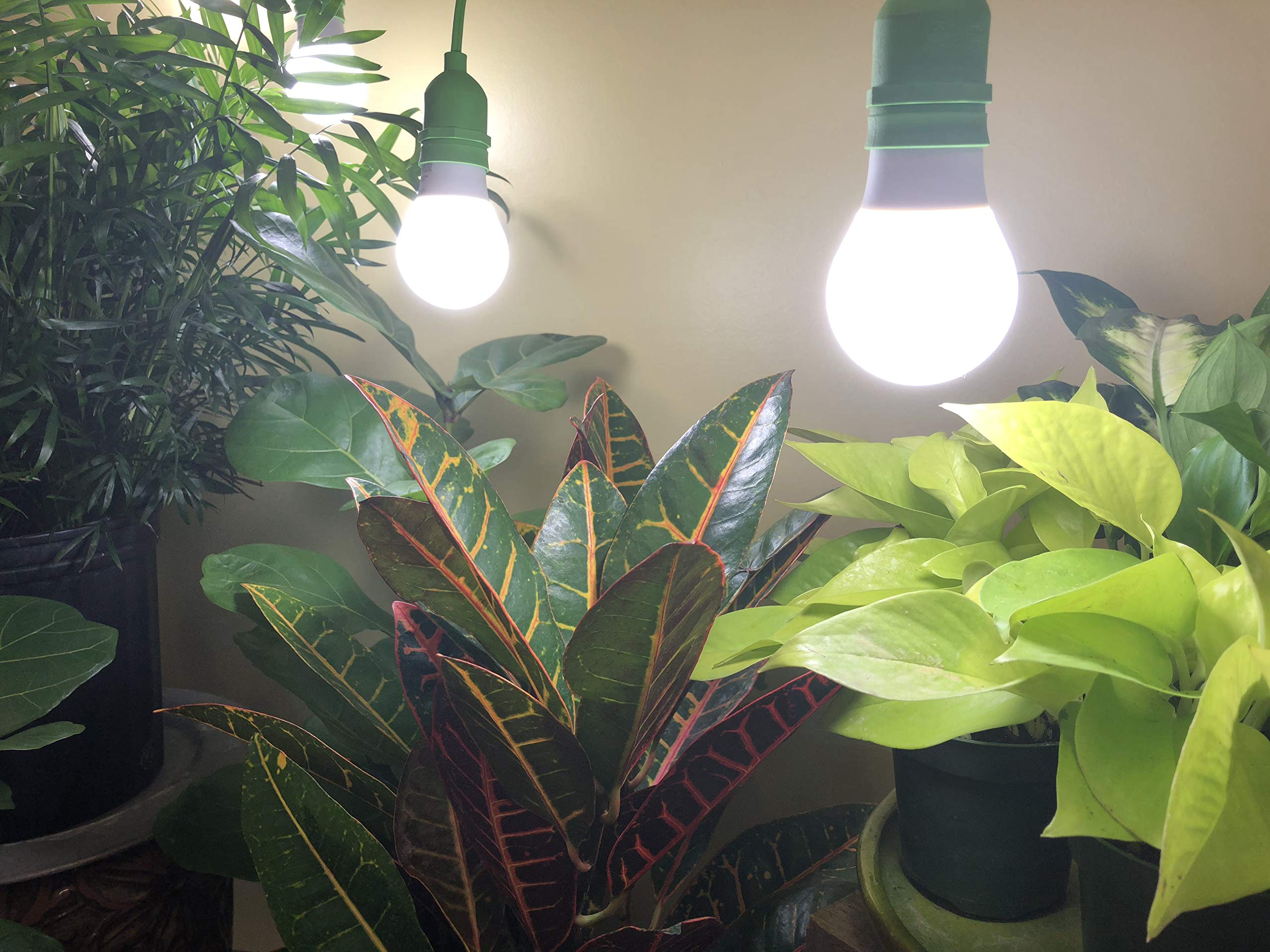 Miracle LED Greenhouse in a Box Grow Light Kit for Indoor Plants - 4 Full Spectrum Daylight Bulbs & 4-Socket Fixture (5-Pack) - Perfect for Hydroponics, Seed Starting, and Indoor Gardening