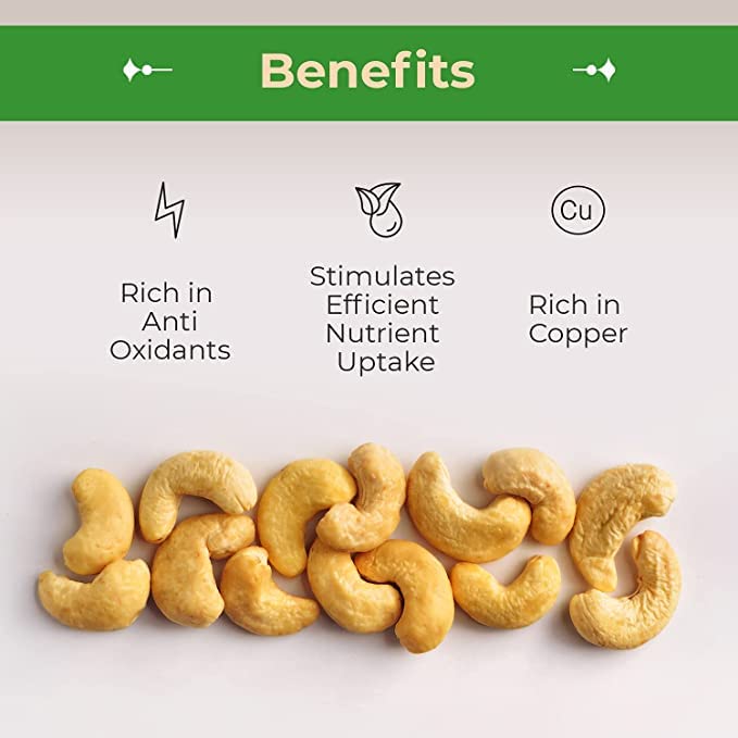 Sincerely Nuts – Roasted & Salted Whole Cashews | 1 lb Bag | Kosher Certified Vegan Snack | High in Protein, Vitamins & Minerals | Perfect for Healthy Snacking, Baking & Gourmet Cooking