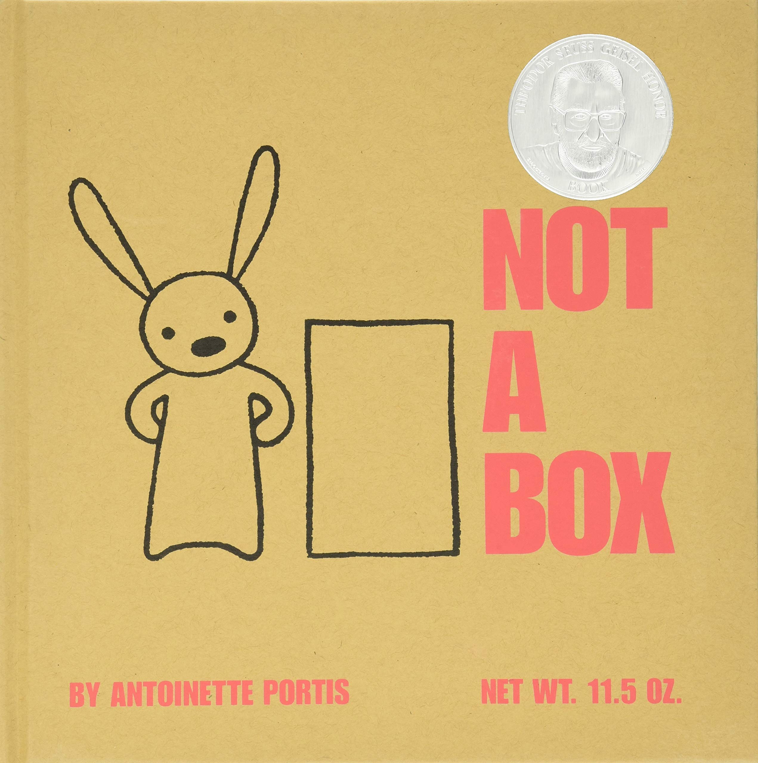 Not a Box - Creative Imagination Toy for Kids, Perfect for Pretend Play, Storytelling & Learning Activities | Great Gift for Toddlers & Preschoolers