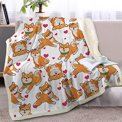 Shiba Inu