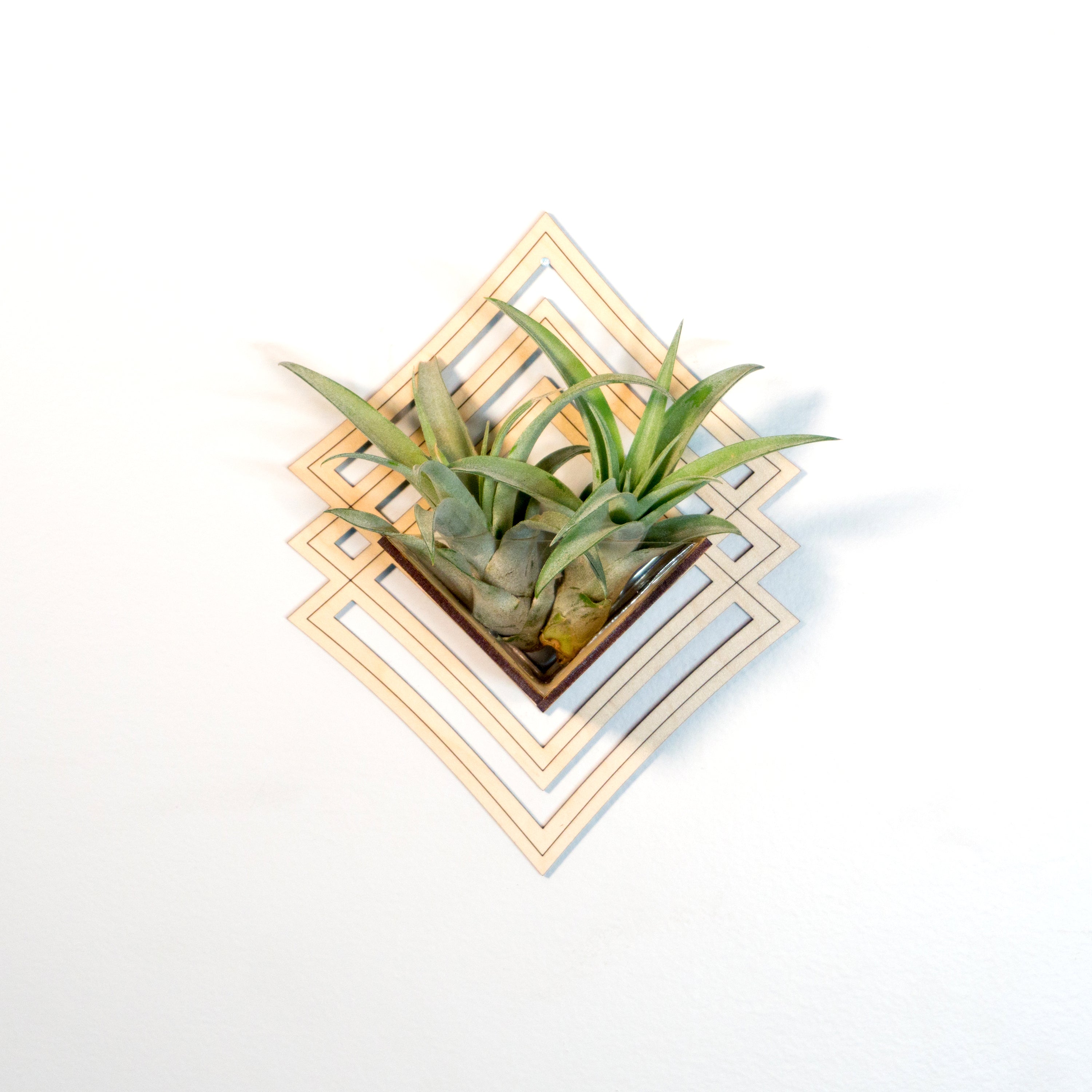 Modern Handmade Wood Wall Hanging Planter Set of 6 - Air Plant Holder & Mounted Display Hanger for Home Decor - Perfect Plant Lover Gift & Living Art for Living Room, Bedroom, or Office
