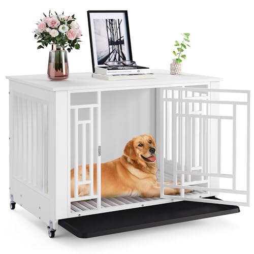 White+Removable Tray