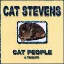 Cat People Tribute to Cat Stevens - Perfect for Music & Cat Lovers