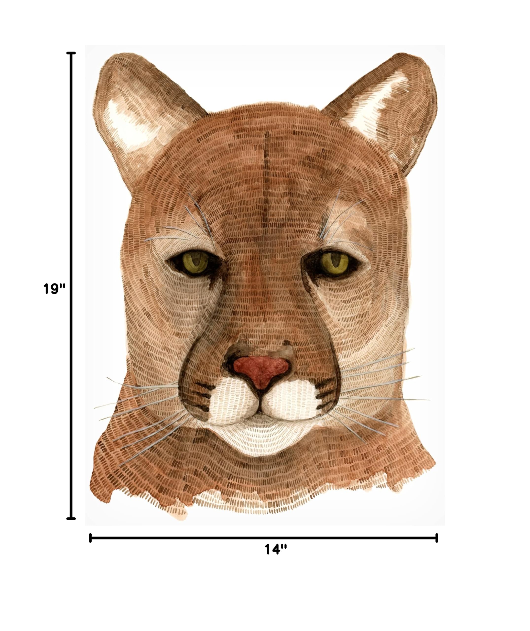 Trademark Fine Art 'Cougar' Canvas Wall Art by Jeannine Saylor - Stunning Wildlife Painting for Living Room, Bedroom & Office Decor