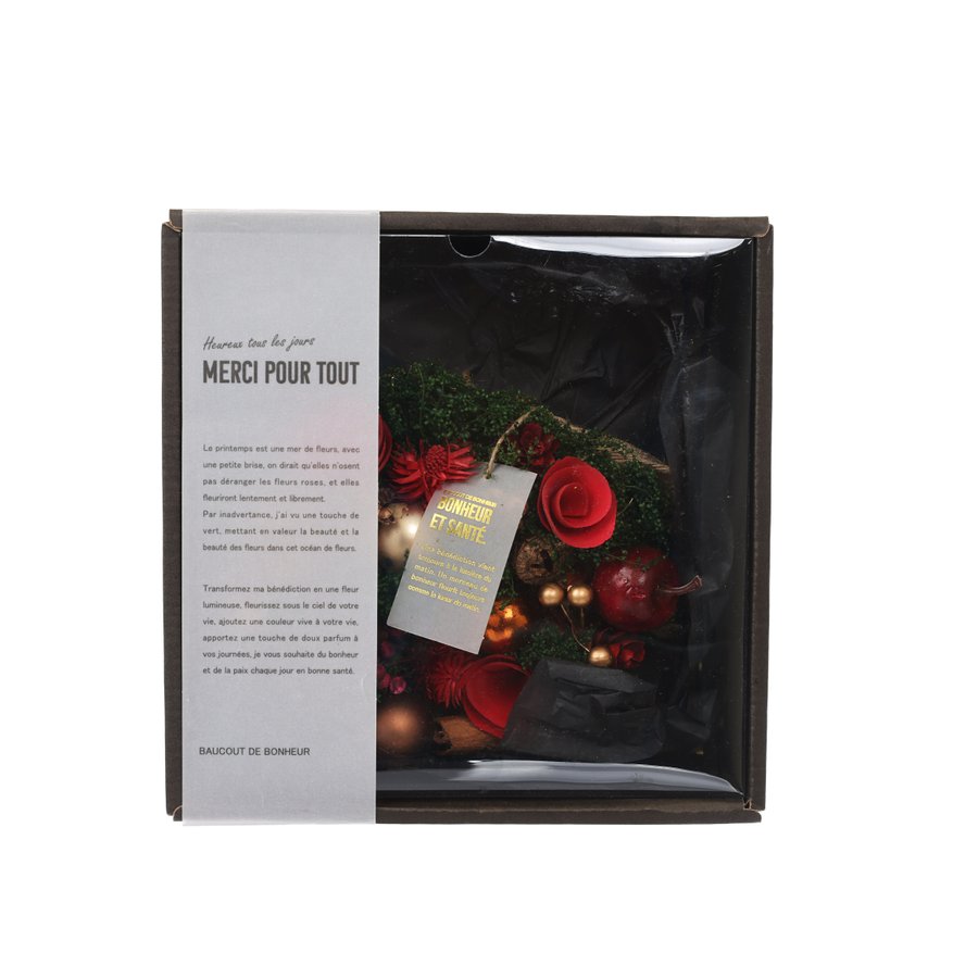 PASEO Classic Christmas Wreath Small (80g) - Festive Holiday Door Decor for Home, Office & Christmas Party Decoration
