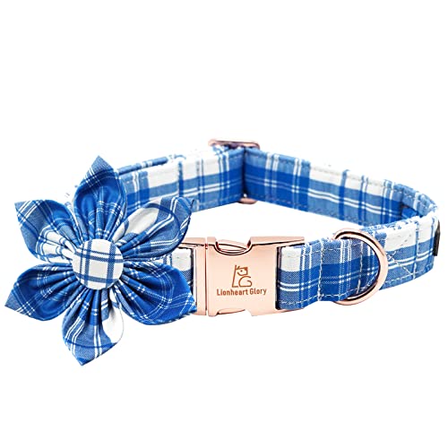 Blue Plaid