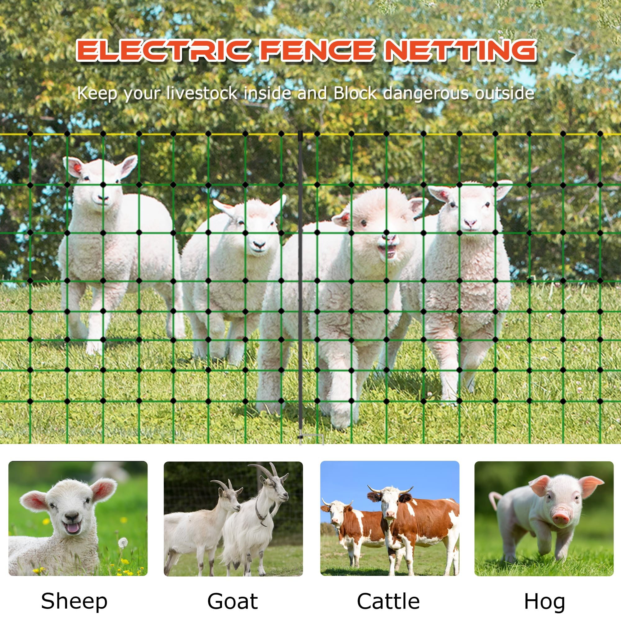 Electric Fence Net for Sheep & Livestock - 3 Feet Tall x 164 Feet Long Green Double Pointed Netting Fence - Ideal for Pasture, Farm & Animal Containment