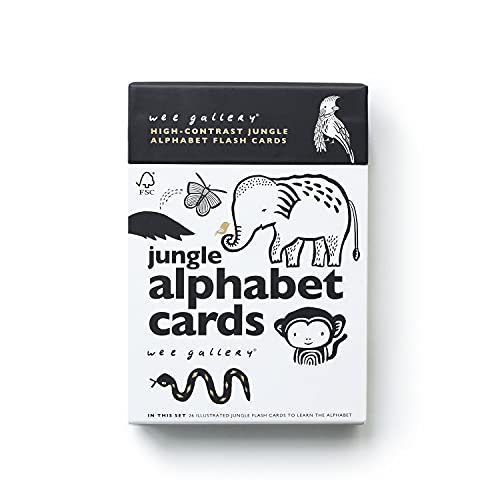 Jungle