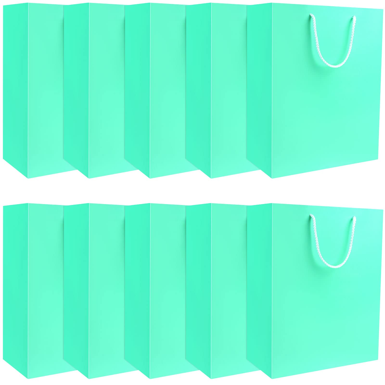 10 Pcs Lake Blue Paper Gift Bags with Wide Handles - Heavy Duty Cardstock Shopping Bags for All Occasions, Business, Takeout & Gifting (9.8