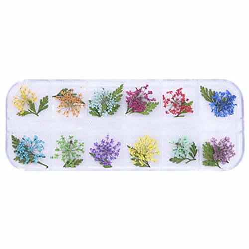 2022 Spring & Summer Fashion Nail Art Kit - 12 Boxes of Dried Flower Jewelry & 6 Japanese Style Nail Stickers for Women | Perfect for DIY Nail Enhancement, Bridal Nails, and Special Occasions