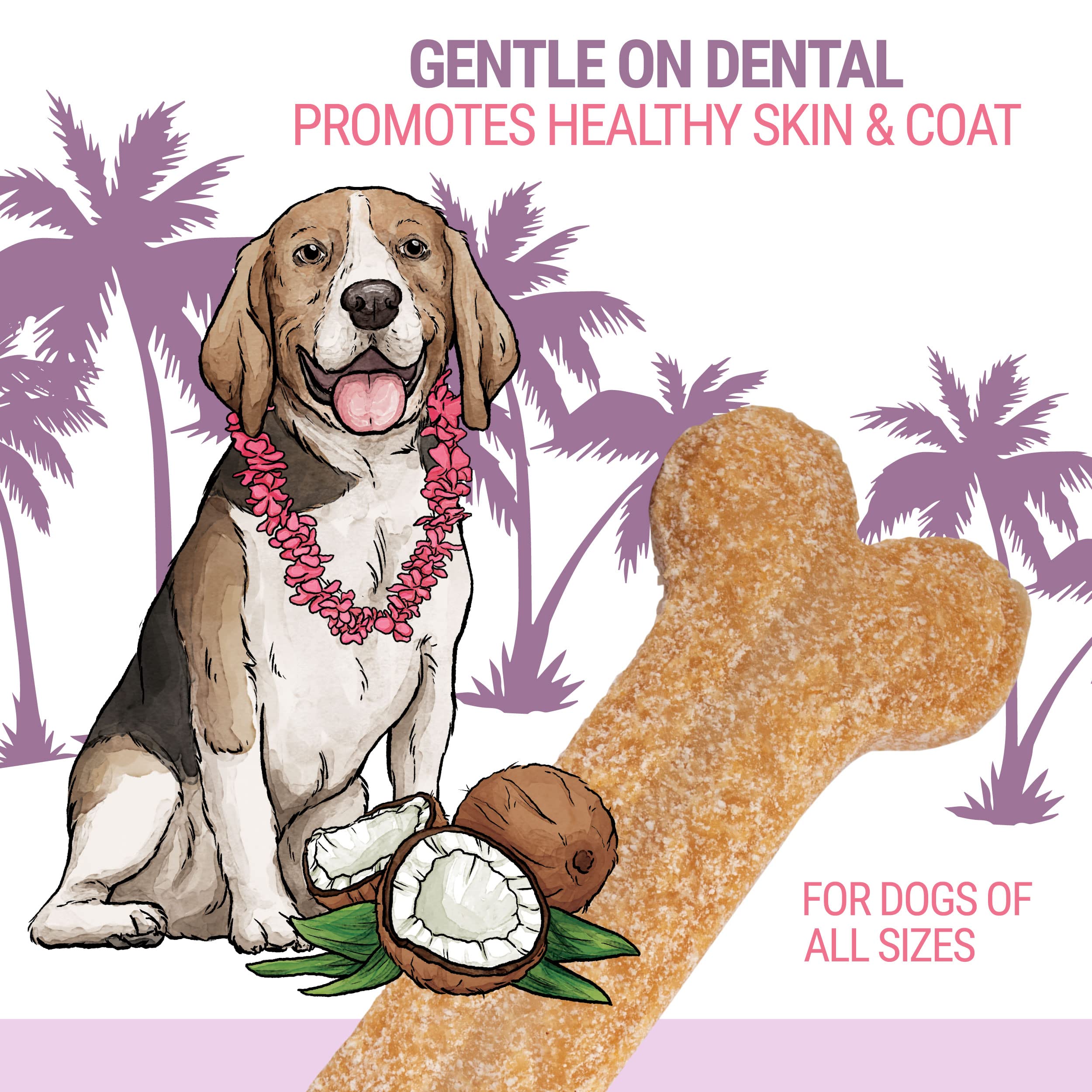 Natural Coconut & Himalayan Cheese Dog Chew - Long-Lasting, Protein-Rich, Stain-Free Dental Treat for Small Dogs Under 45 Lbs | 100% Grain-Free, Lactose-Free & Gluten-Free | Perfect for Teething, Training & Indoor Use Without Strong Odor