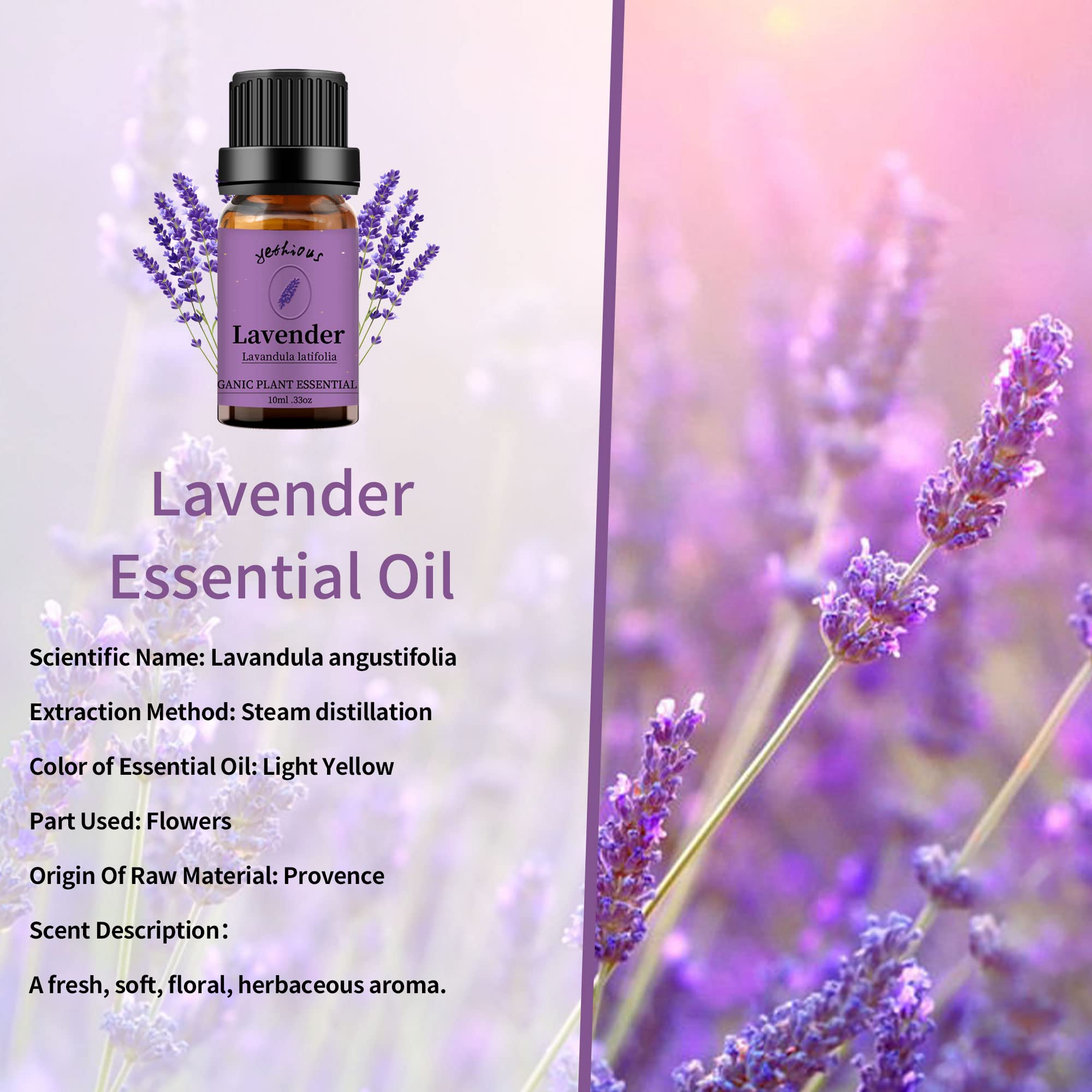 Organic Vanilla & Lavender Essential Oil Set - 100% Pure Aromatherapy Oils for Diffuser, Massage & Relaxation - 2 x 10ml Bottles - Perfect for Stress Relief, Sleep Aid & Home Fragrance