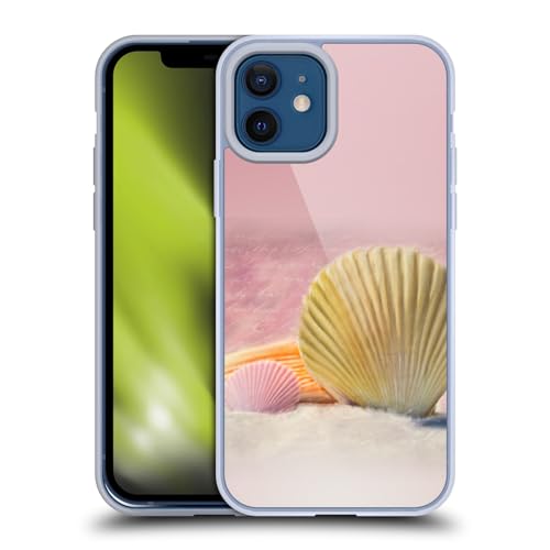 Vintage Shells