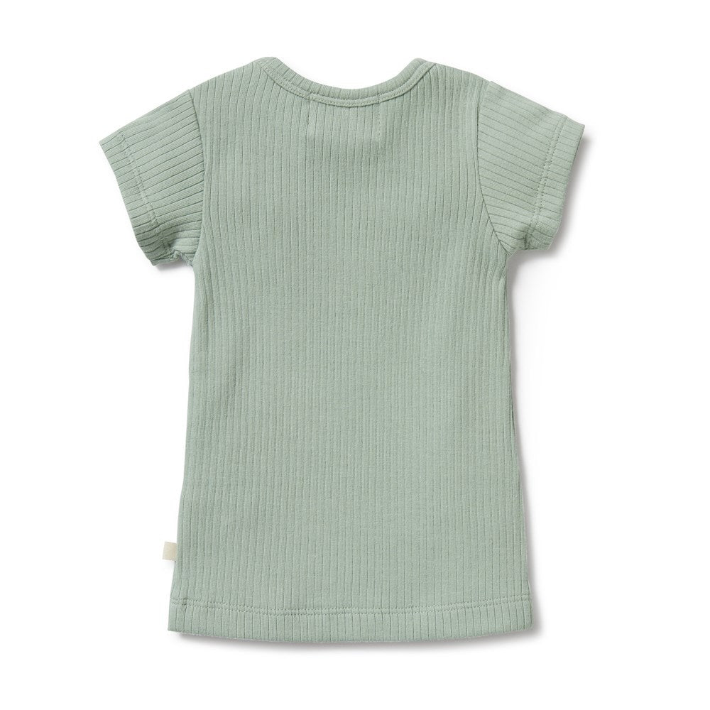 Allo Organic Ribbed T-Shirt for Women | Soft & Comfortable Cotton Tee | Perfect for Casual Wear, Layering & Everyday Outfits