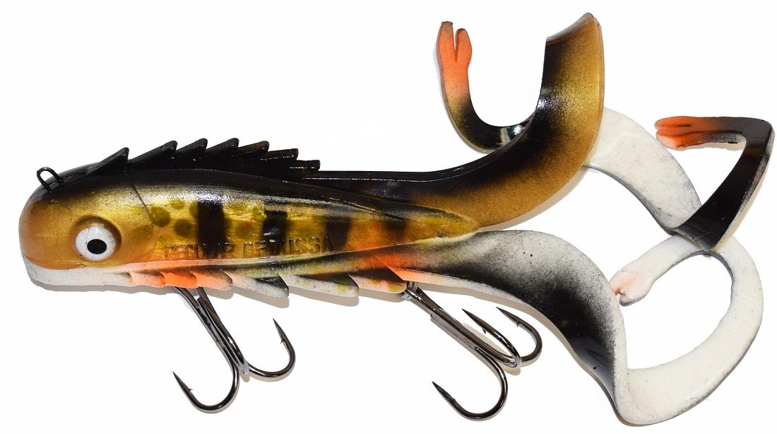 White tail eelpout