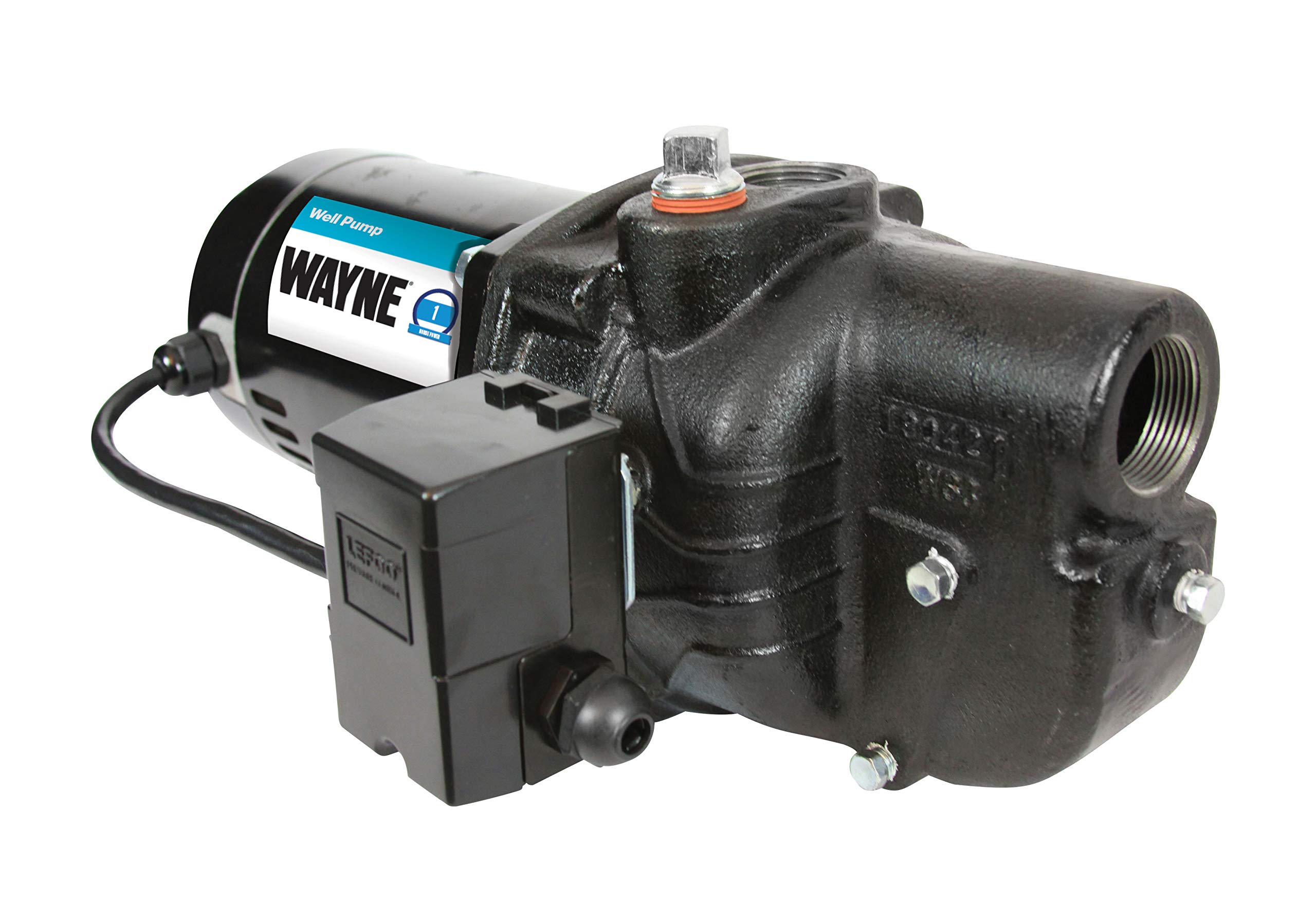 WAYNE SWS100-1 HP Cast Iron Shallow Jet Well Pump - 513 GPH Heavy Duty Water Pump for Home, Farm & Irrigation - Durable Shallow Well Pump for Outdoor & Emergency Water Supply
