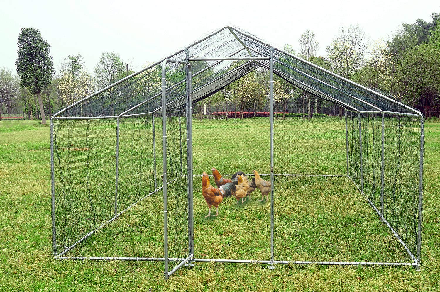 Large Walk-In Chicken Coop for 40 Chickens - 19.7×9.8×6.6ft Galvanized Steel Poultry Cage with Waterproof & UV-Resistant Cover, Spire Top Design - Perfect for Backyard Farming, Outdoor Poultry Housing & Free-Range Chicken Keeping