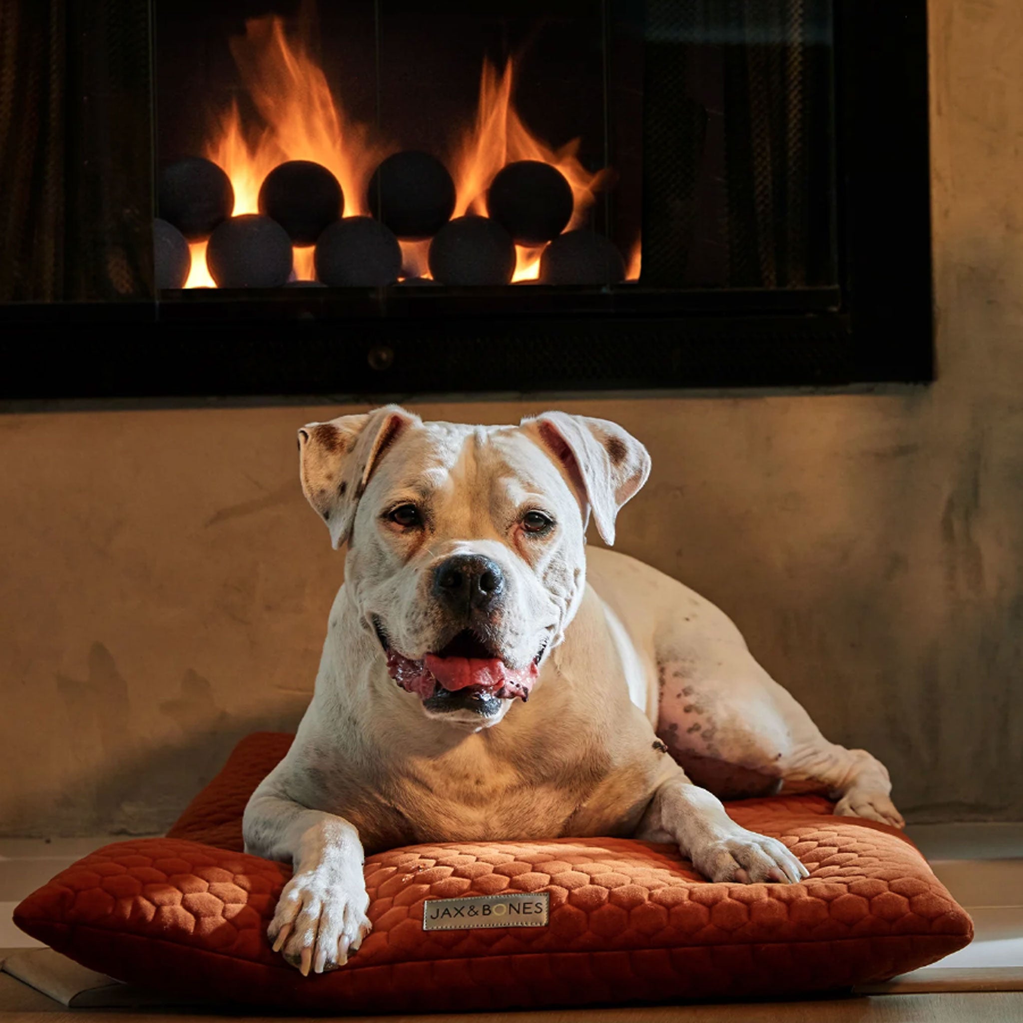 Jax & Bones Cozy Mat - Ultra Soft Pet Bed for Dogs & Cats, Bumble Terra Design - Perfect for Indoor Lounging & Nap Time