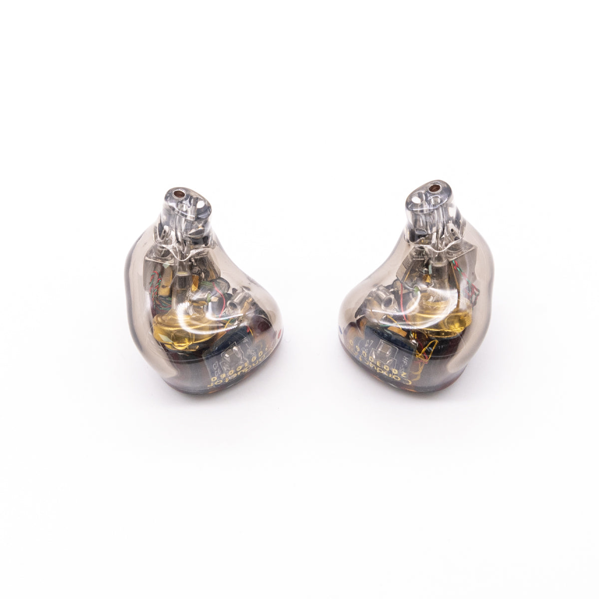 LETSHUOER Conductor Universal In-Ear Monitor (IEM) - Open Box - High-Fidelity Sound for Musicians, Audiophiles & Studio Use