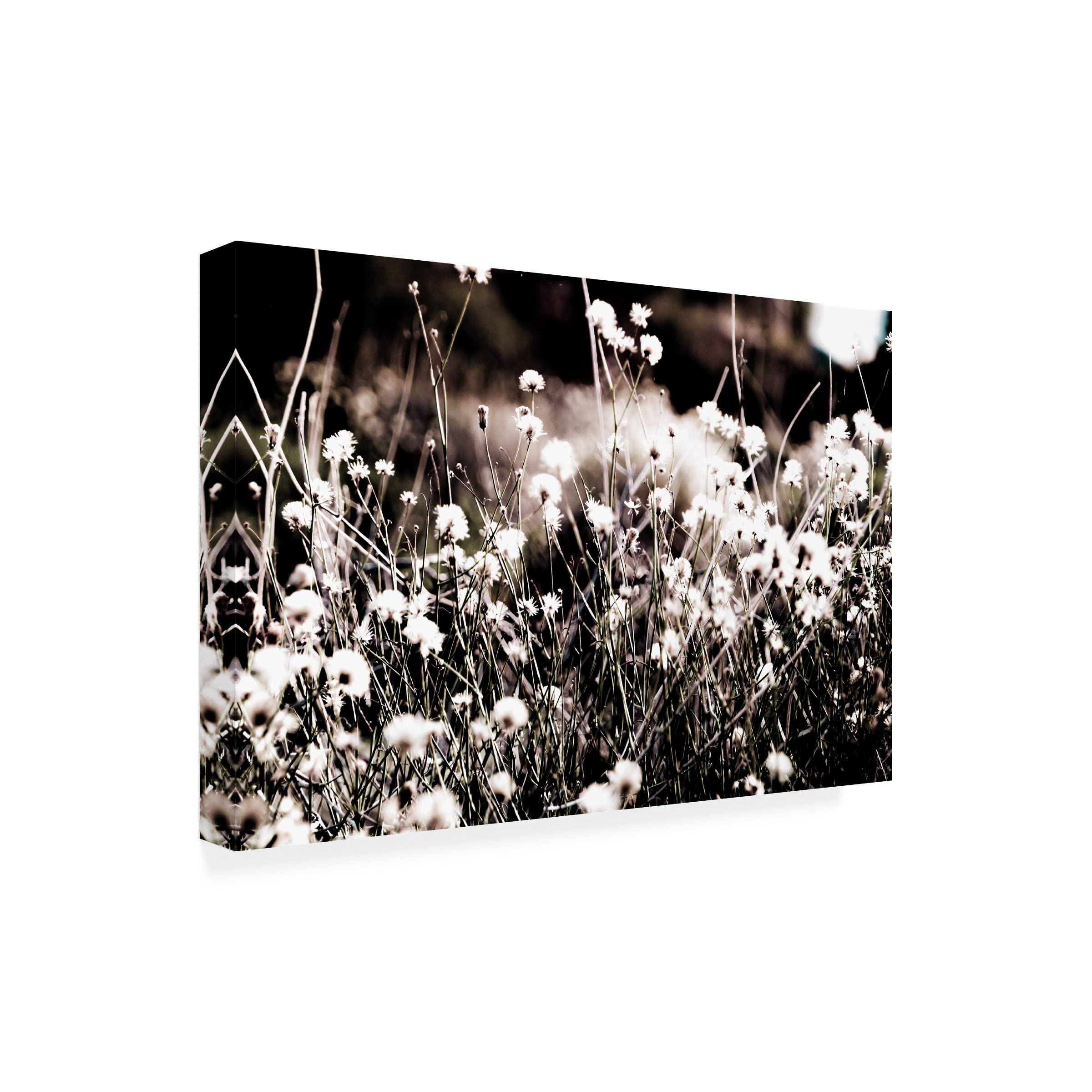 Blue Palomino 'Tiny Daisies' Floral Canvas Wall Art - Handmade Home Decor for Living Room, Bedroom & Office
