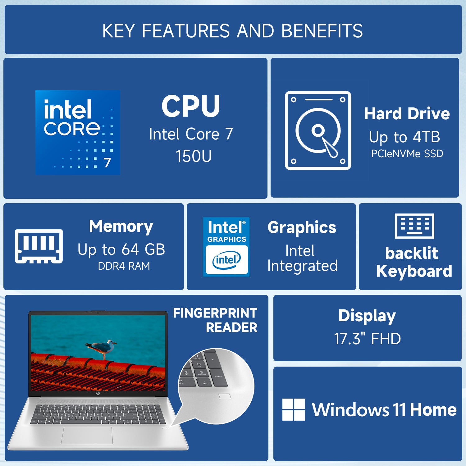 HP Essential 17.3
