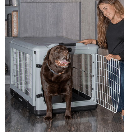 Heavy Duty Steel 4-Door Folding Storage Crate for Home, Office & Garage Organization | Collapsible Metal Crate for Clothes, Toys, Tools & Supplies | Space Saving Storage Solution
