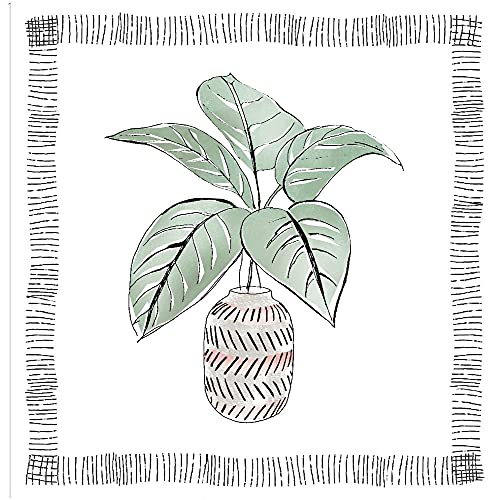 Zebra Plant