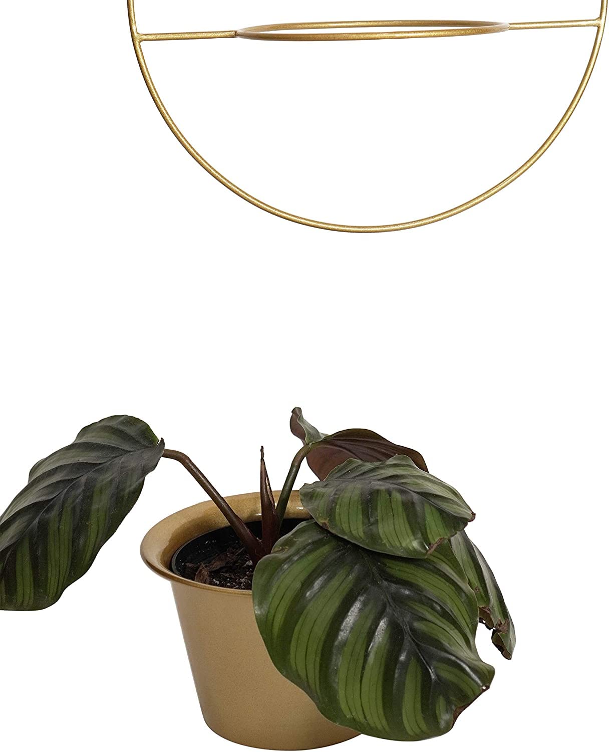 6 Inch Modern Metal Hanging Planter - Indoor Wall Plant Hanger for Small Plants | Perfect for Home, Office, and Balcony Decor