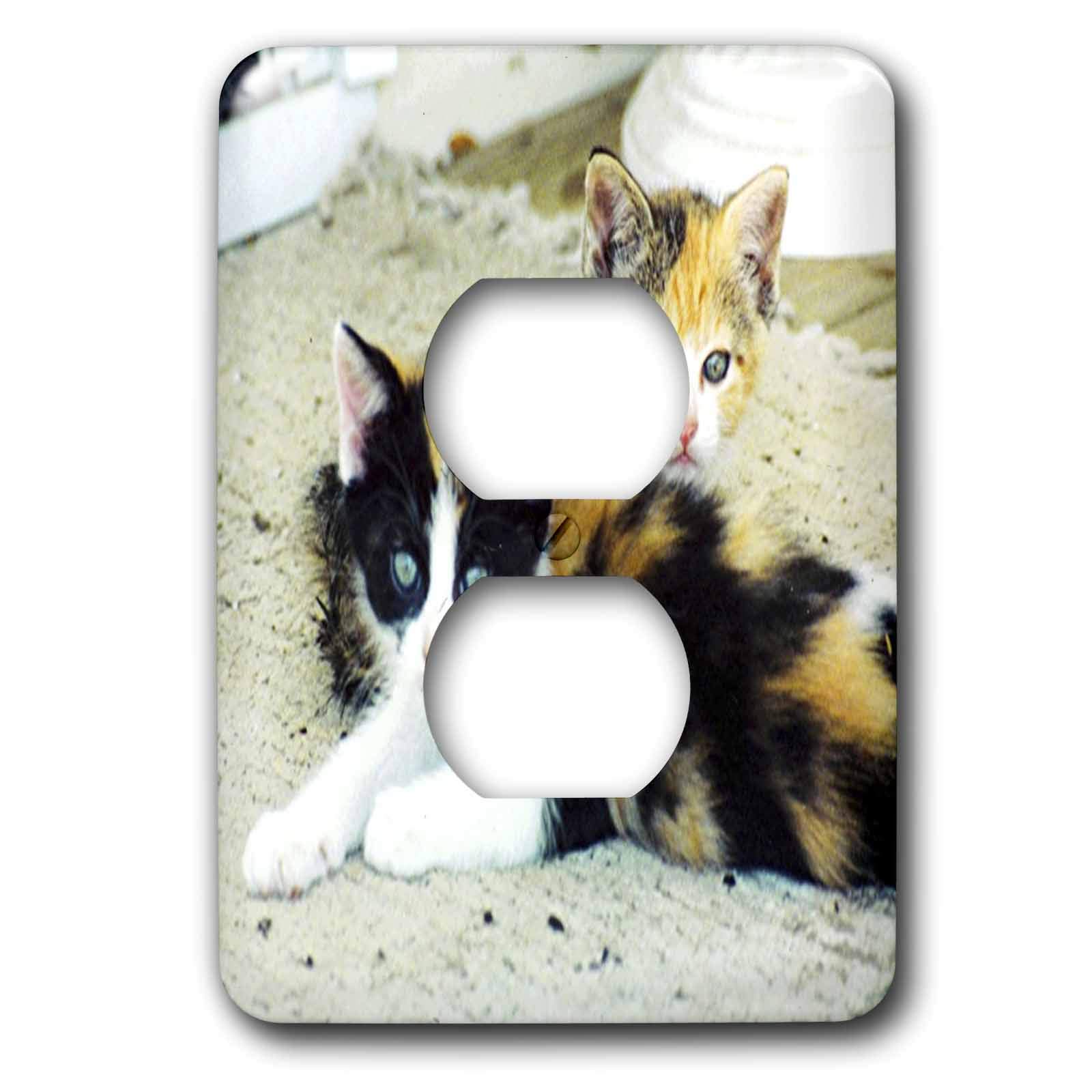 3dRose lsp_49275_6 - 2 Adorable Calico Kittens Outlet Cover Plate - Cute Cat Decor for Nursery, Kids Room & Home Safety - Perfect for Baby Proofing & Pet Protection