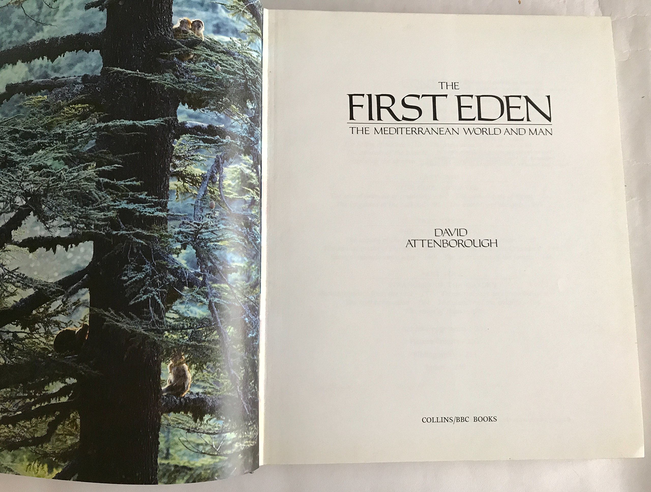 The First Eden: The Mediterranean World and Man - Explore History, Culture & Nature | Perfect for History Buffs & Travel Enthusiasts
