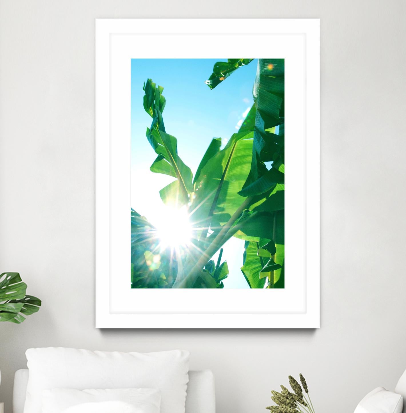 Premium Banana Leaves for Tropical Decor - Natural & Eco-Friendly Art for Home, Party & Wedding Decorations