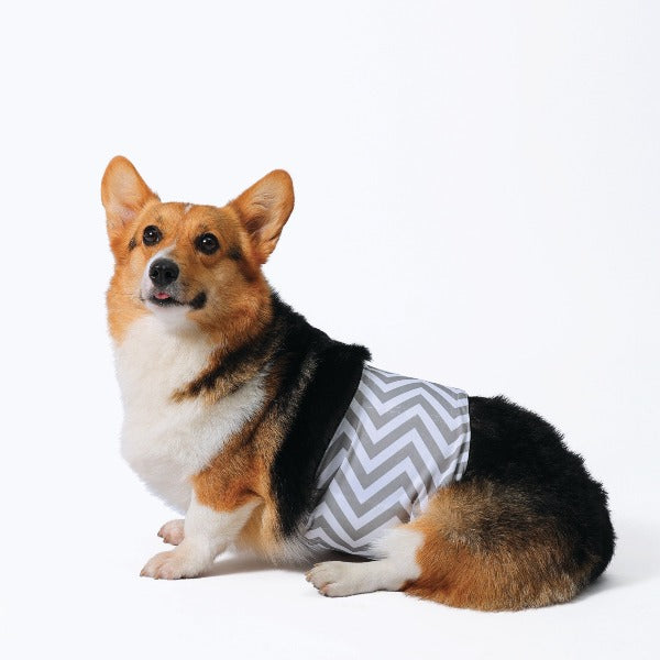 Washable Male Dog Diapers for Pets - Reusable & Absorbent Incontinence Pants - Perfect for House Training, Senior Dogs & Travel Use