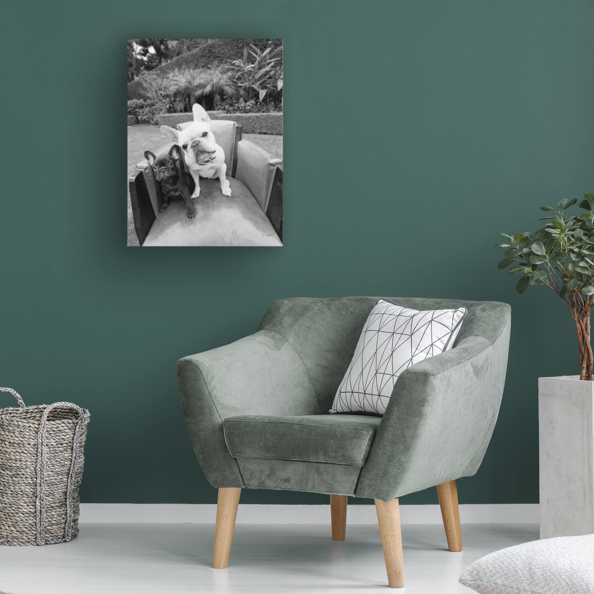 Trademark Fine Art 'Always Friends' Canvas Art by Jim Dratfield - Dog and Cat Friendship Wall Decor for Living Room, Bedroom & Office