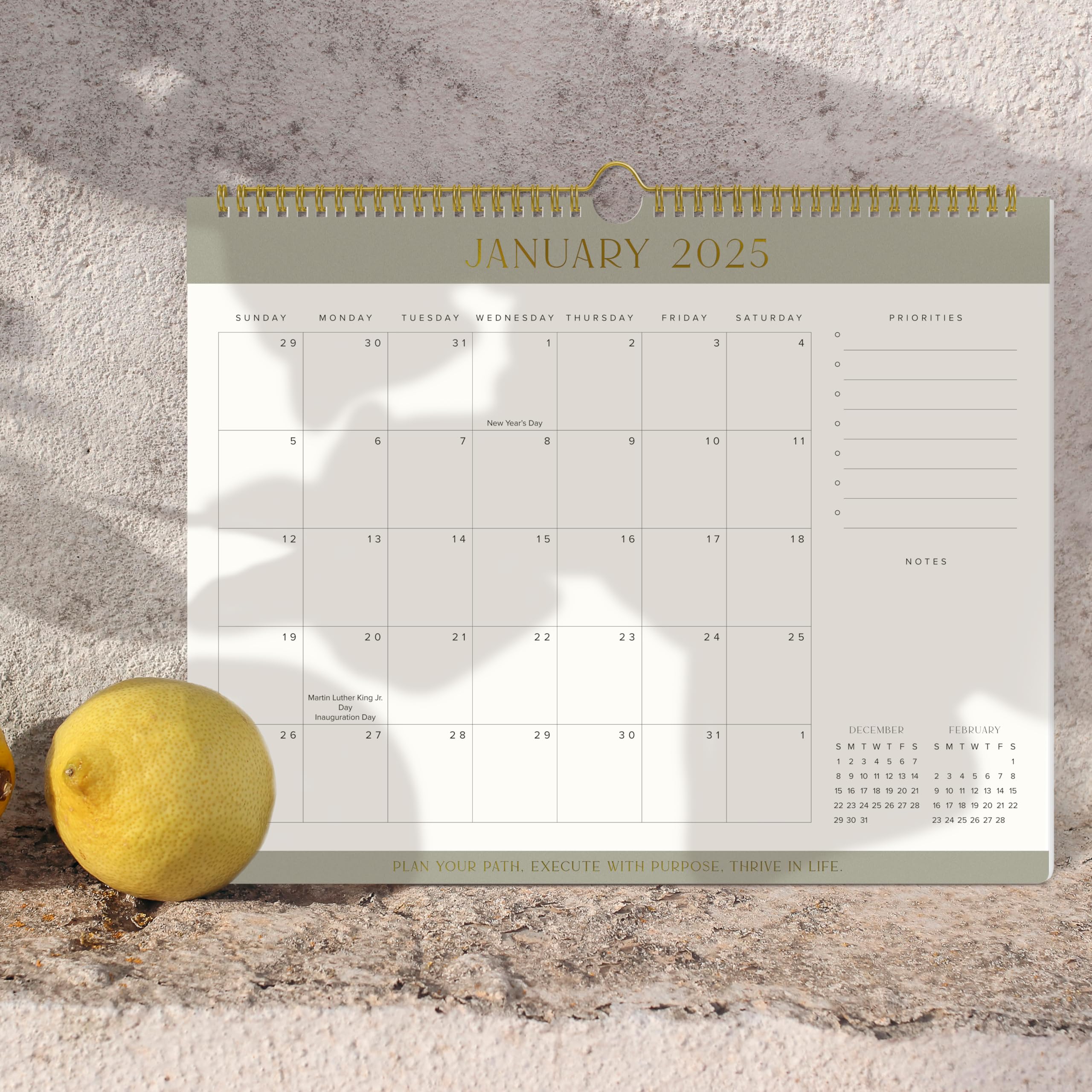 2025-2026 Aesthetic Wall Calendar | January 2025 - July 2026 | Stylish Wall Hanging Planner for Home & Office Organization | Perfect for Scheduling, Goal Tracking & Home Decor