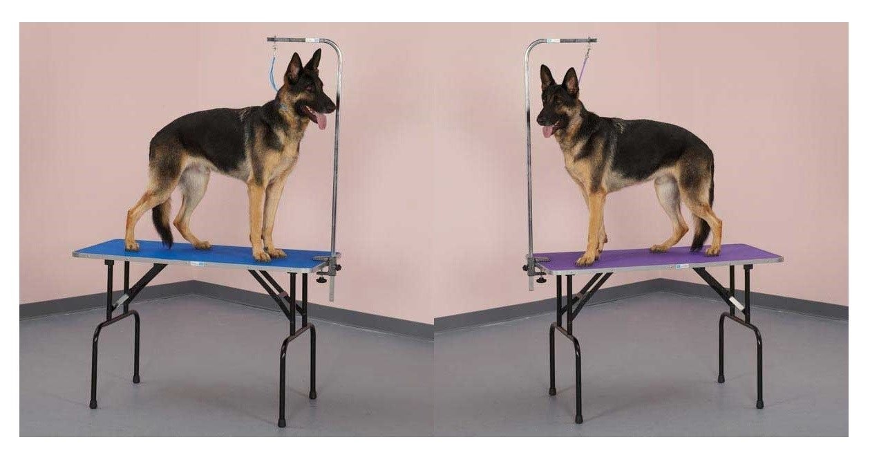 Sturdy Folding Grooming Table with Arm & Loop - 48