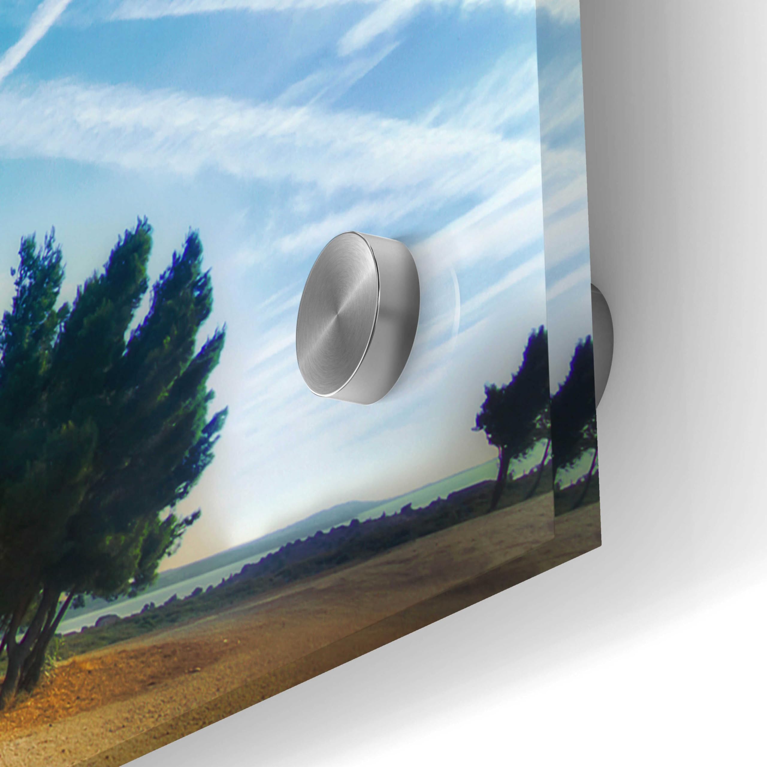 Epic Art 'Summer Tree' by Sebastien Lory - 48x24 Inch Acrylic Glass Wall Painting - Modern Home Decor for Living Room, Bedroom & Office