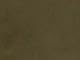 Dark Olive Green