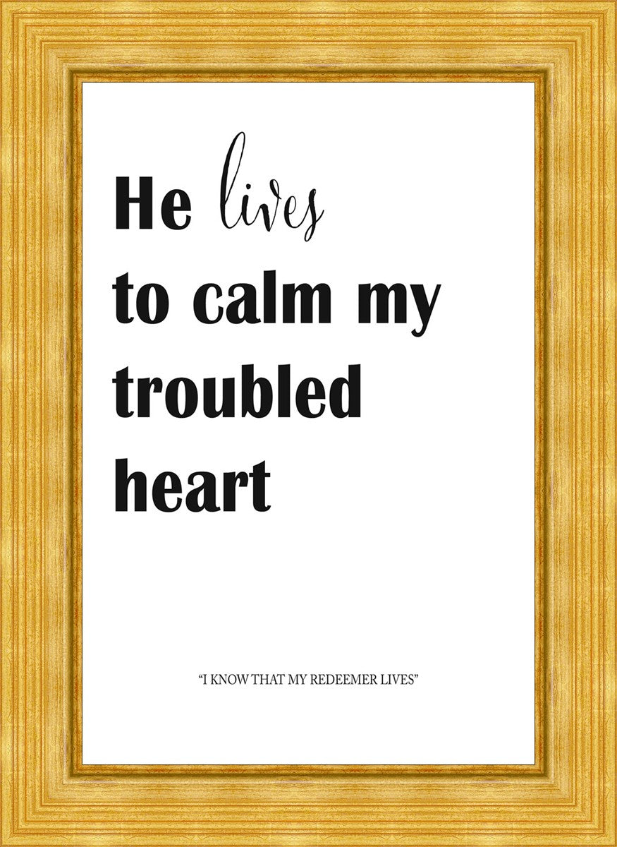 He Lives to Calm - Premium Relaxation & Stress Relief Essential Oil Blend for Aromatherapy, Meditation & Sleep - 100% Natural Therapeutic Grade for Diffusers, Massage & Home Spa