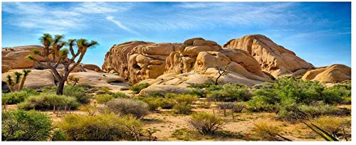 30x12 Inches Joshua Tree National Park Photography Backdrop - Western Sky Desert Scenery with Cowboy, Weathering Rocks & Drought-Tolerant Plants - Perfect for Cactus Terrarium, Aquarium Wallpaper & Western-Themed Photo Shoots