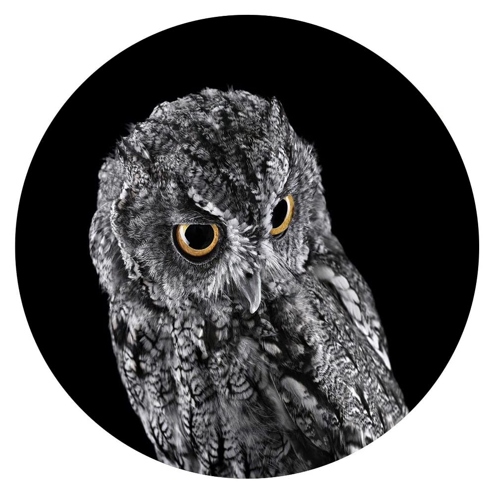 300-Piece Circular Wooden Puzzles - Animals Collection Black & White Round Jigsaw Puzzles for Adults & Kids | Stress Relief Toys, Educational Games, School Supplies & Family Bonding Activities | Perfect for Home Decor, Classroom Learning & Relaxation Therapy