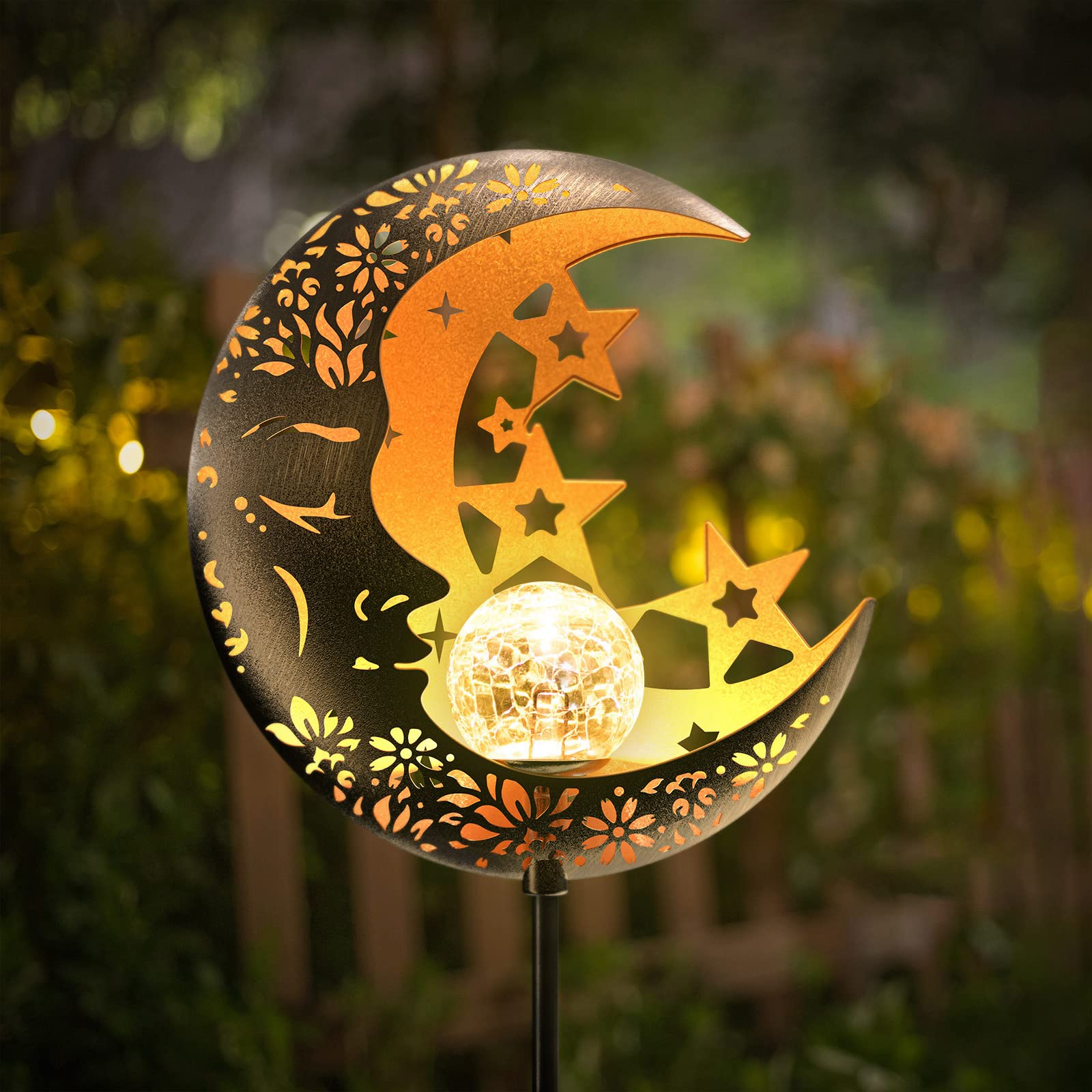A Magical Night Under the Stars