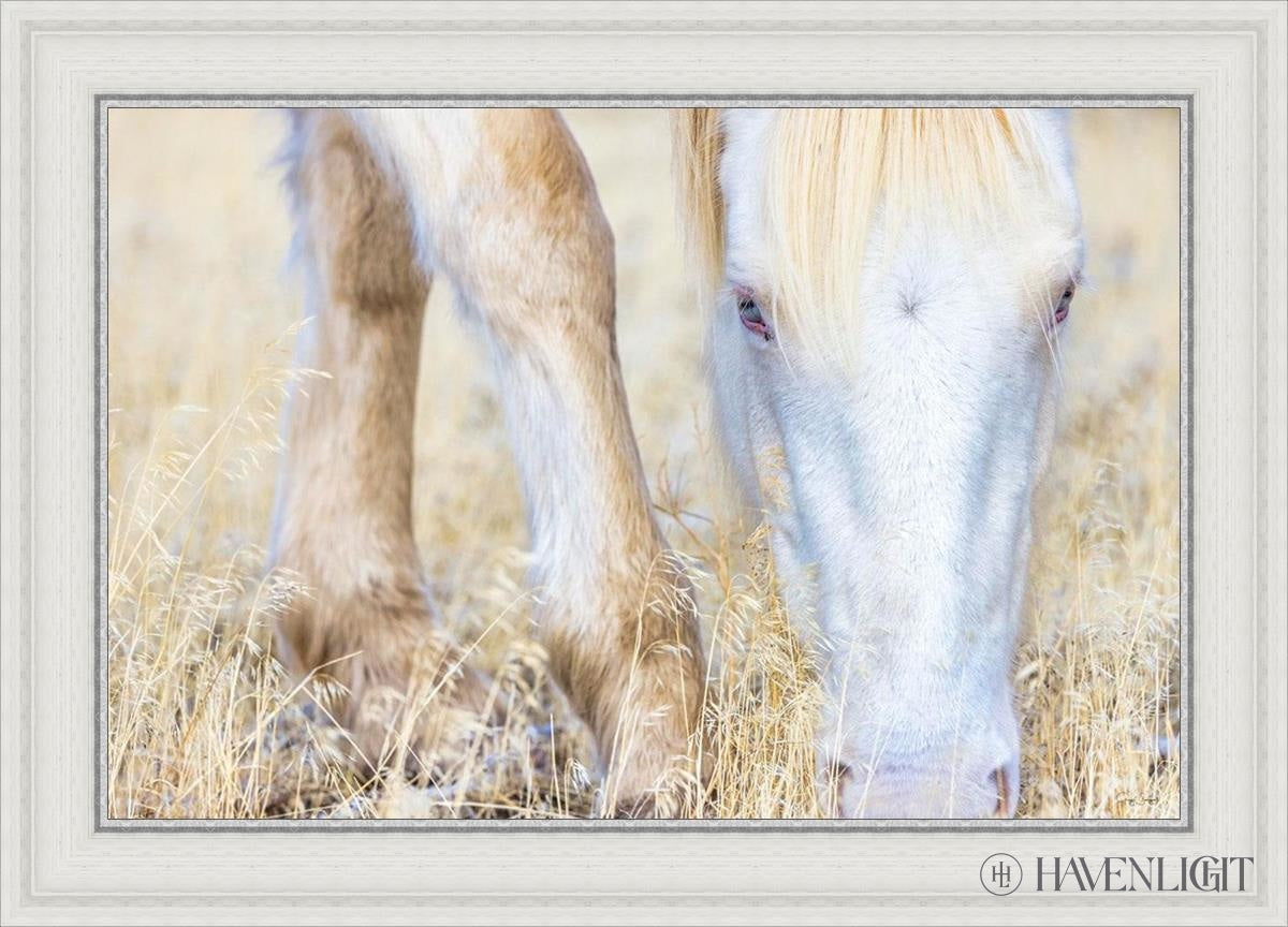 Dry Grass by Greg Sargent - Premium Handcrafted Home Decor for Rustic & Farmhouse Style - Perfect for Wall Art, Shelf Displays & Cozy Living Room Decor