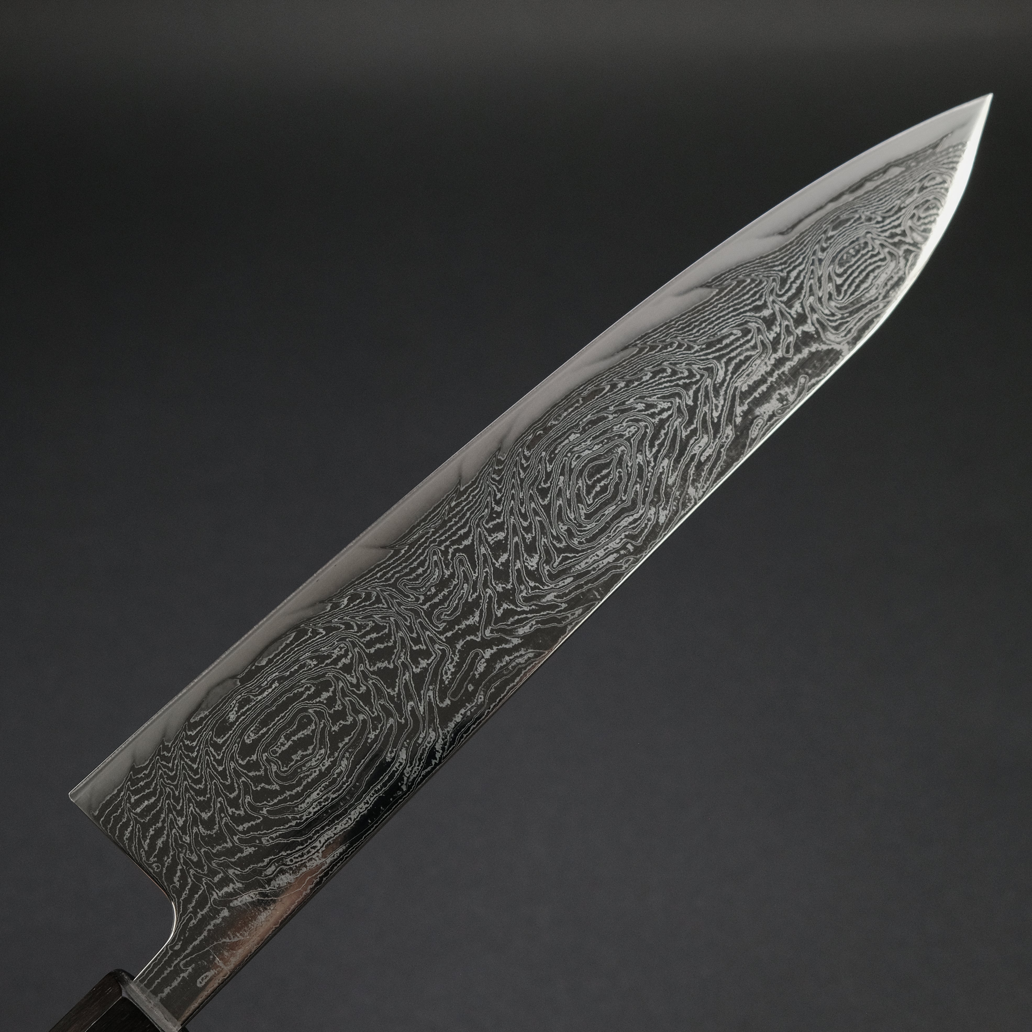 Hitohira Futana Nickel Damascus Gyuto 240mm Japanese Chef Knife with Tagayasan Wood Handle - Professional Kitchen Tool for Slicing, Dicing & Meat Cutting