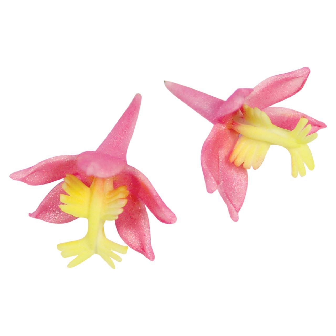 Premium JEM Poor Man's Orchid Cutters Set - 2 Pack High-Quality Garden Pruning Shears for Orchid Care, Floral Arrangements & Gardening Tools - Perfect for Home Gardeners & Professional Florists