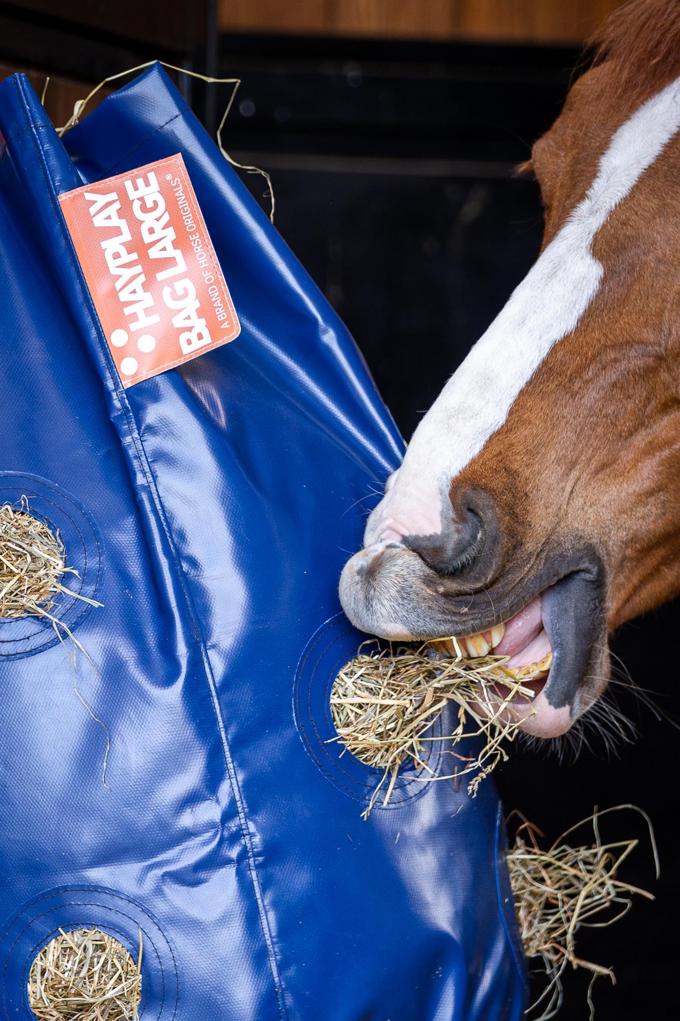 HayPlay Slow Feed Tie Bag - Durable Hay Net Alternative for Horses - Perfect for Stall, Trailer, Track or Paddock Use - Reduce Waste & Promote Healthy Eating Habits