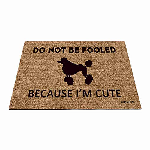 Standard Poodle
