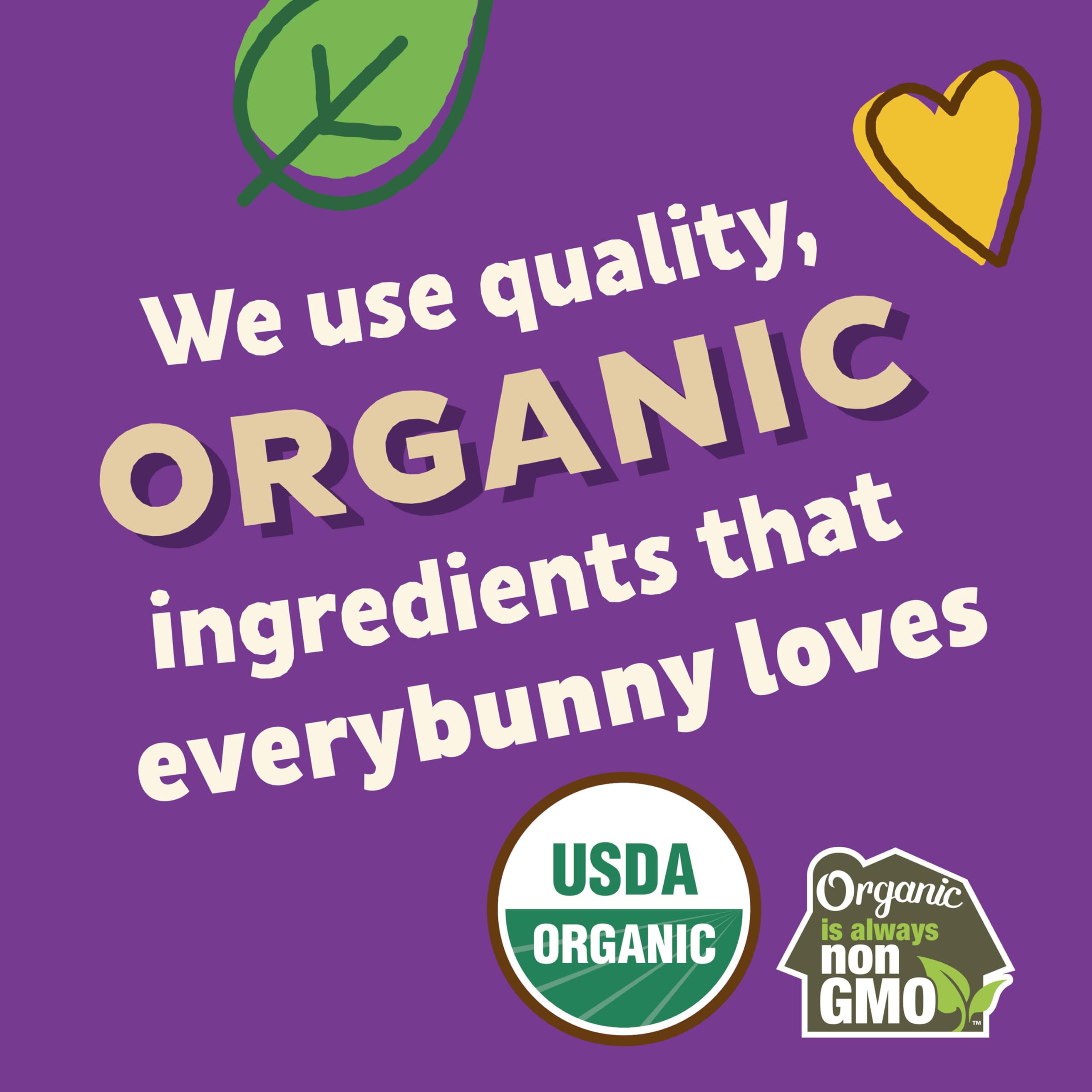 Annie's Organic Bunny Grahams Snacks - Chocolate Chip, Chocolate & Honey Flavors, 12 Pouches (12 oz Each), Pack of 4 | Healthy Baked Graham Crackers for Kids Lunch, School Snacks & On-the-Go Treats