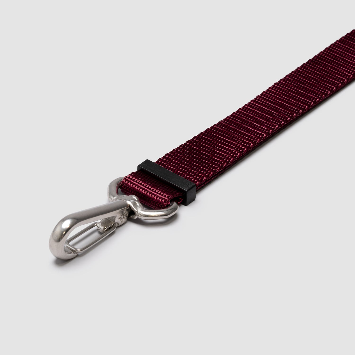 Lifetime Lite Leash - Durable Adjustable Dog Leash for Small & Medium Dogs | Lightweight Reflective Pet Walking Lead for Day & Night Safety | Perfect for Walking, Jogging, and Outdoor Adventures