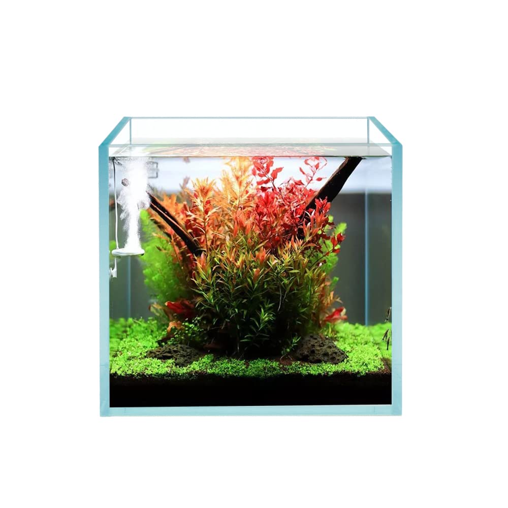 Premium Cube Rimless Frameless Ultra Clear Glass Aquarium - 5mm Low Iron Glass with White Leveling Mat & Optional Lids - Modern Fish Tank for Home/Office Decoration & Aquatic Displays